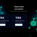 Maximize Your TRX Energy Rental Efficiency with Industry-Leading Solutions